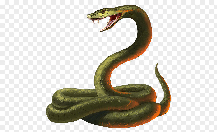 Green Snake PNG