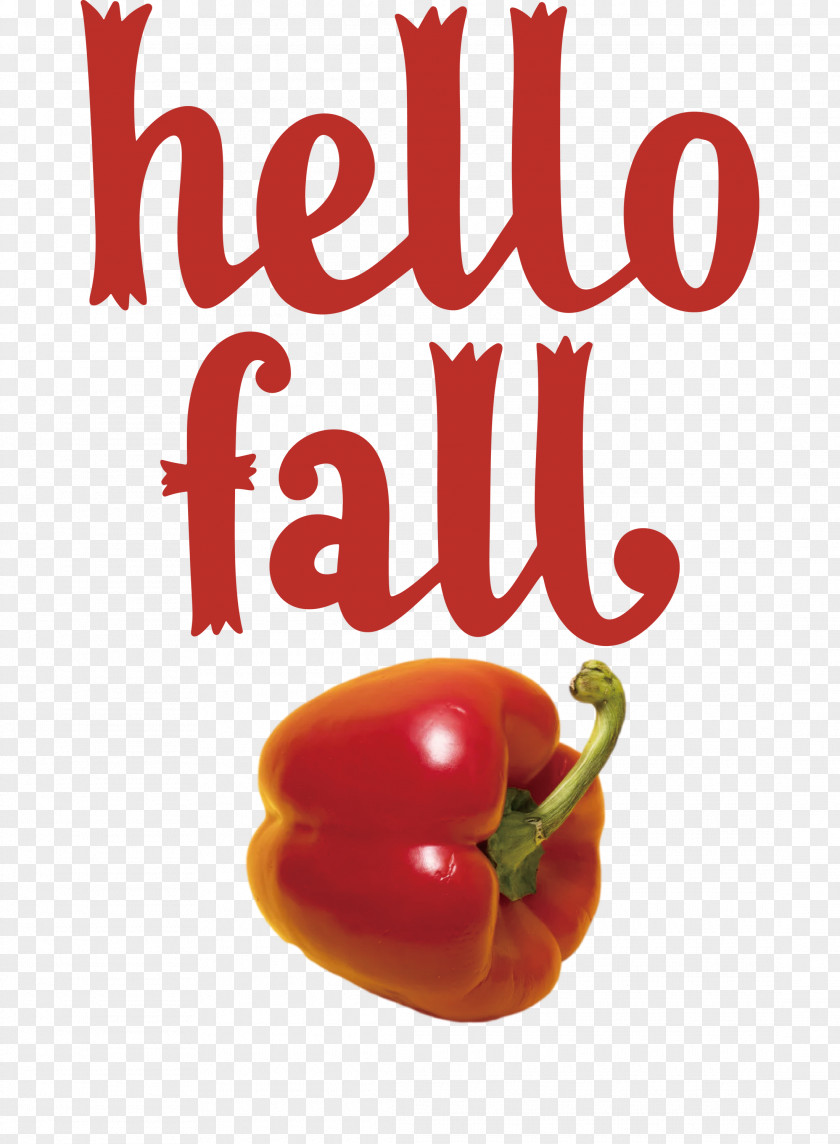 Hello Fall Fall Autumn PNG