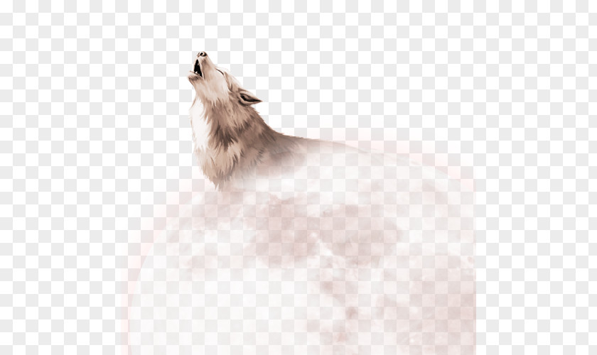 The Wolf And Moon Pomeranian Download PNG