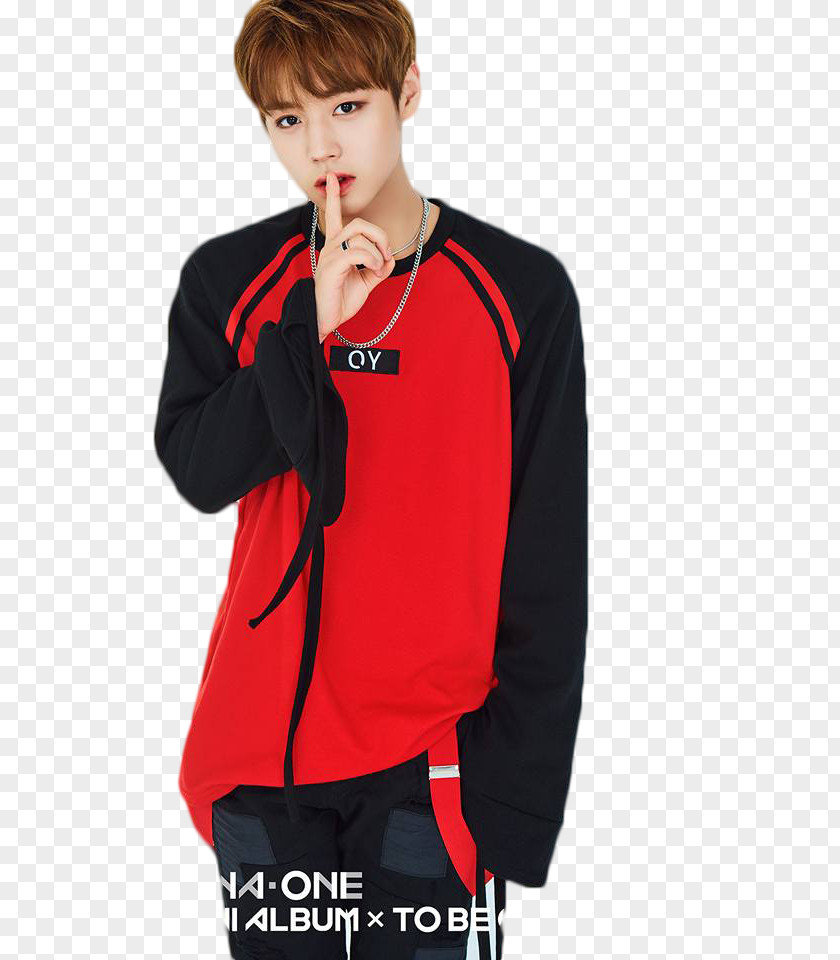 Wannaone Park Jihoon Wanna One 1X1=1 (To Be One) PNG