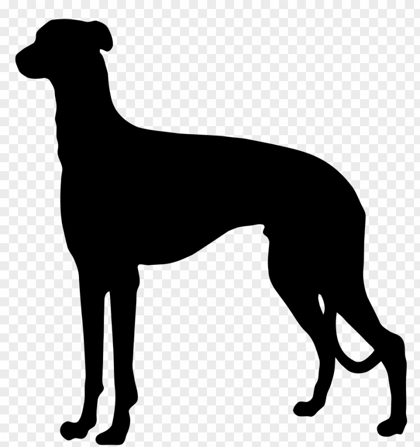 Dog Silhouette German Shorthaired Pointer Wirehaired Longhaired Spinone Italiano PNG