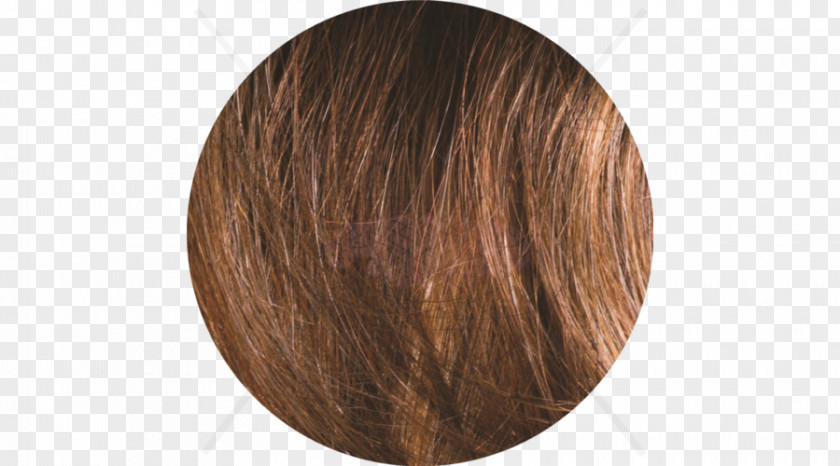 Hair Brown Wig Caramel Color PNG