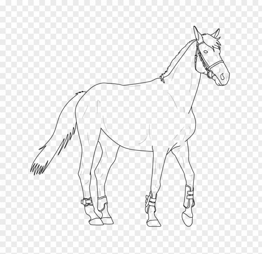 Mustang Mule Foal Stallion Bridle Colt PNG