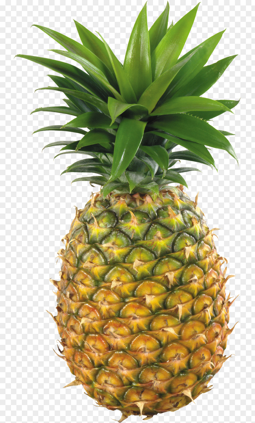 Pineapple JUICE Milkshake Juice Smoothie Drink PNG