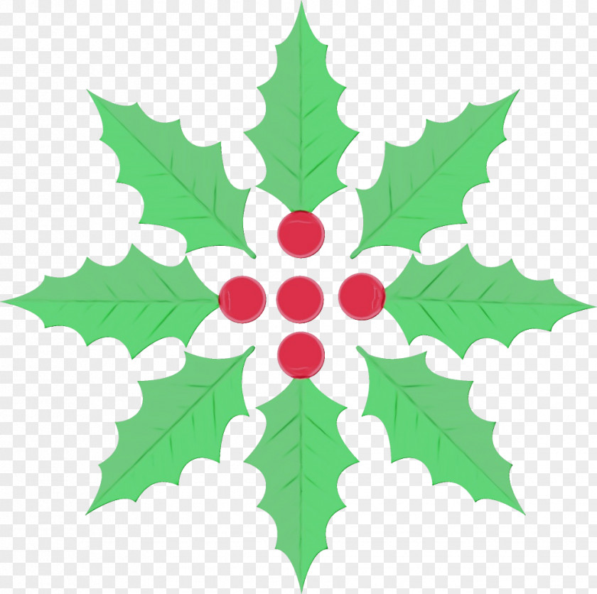 Plane Symmetry Holly PNG