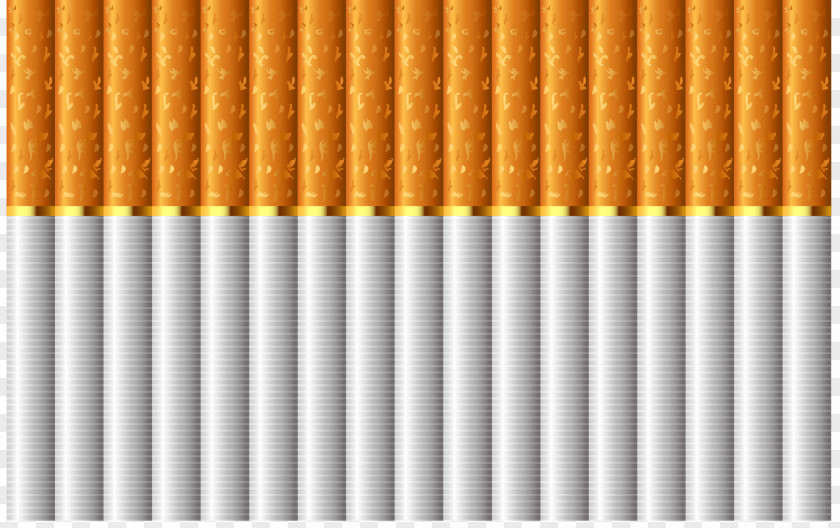 Vector Realistic Cigarettes Cigarette Filter Stock Photography Shutterstock PNG