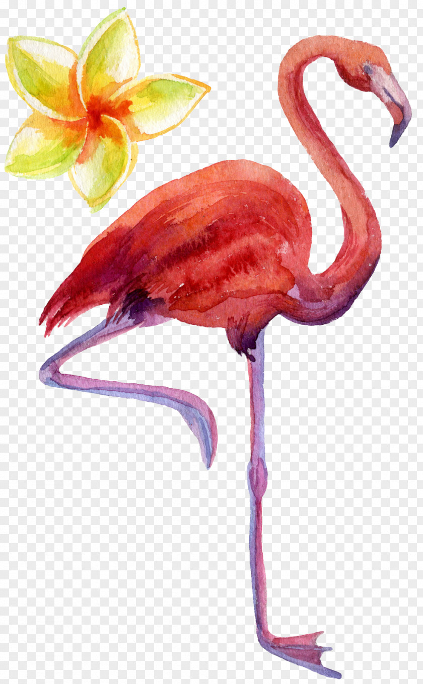 Bird Flamingo Textile PNG