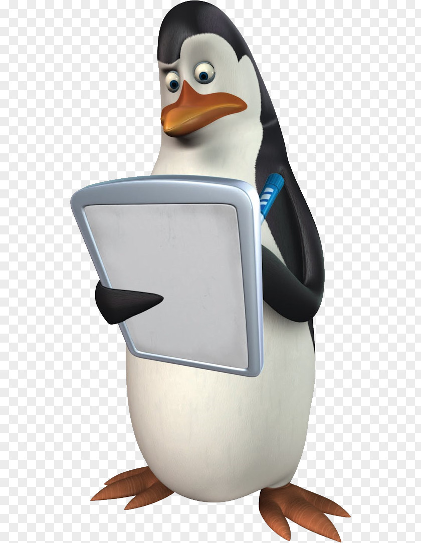 Madagascar Penguins Kowalski Skipper Penguin Nickelodeon PNG