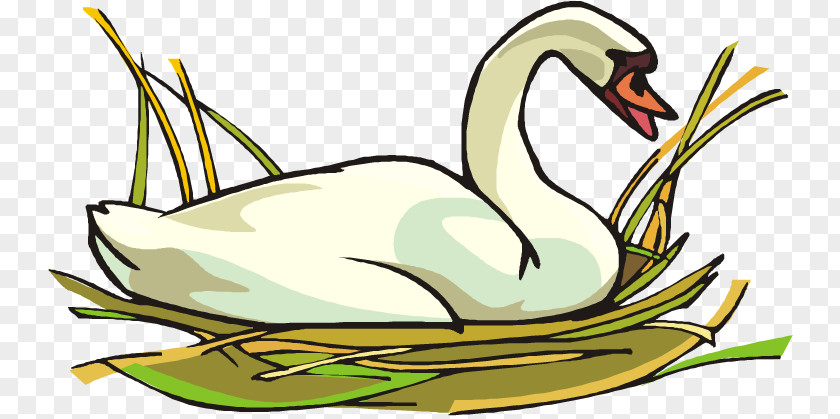 Swan Goose Mute Duck Clip Art Openclipart PNG