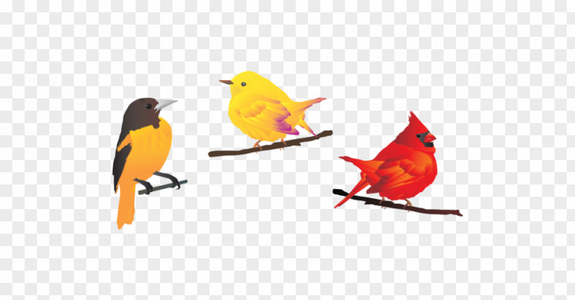 Bird Vector Graphics Clip Art Image PNG