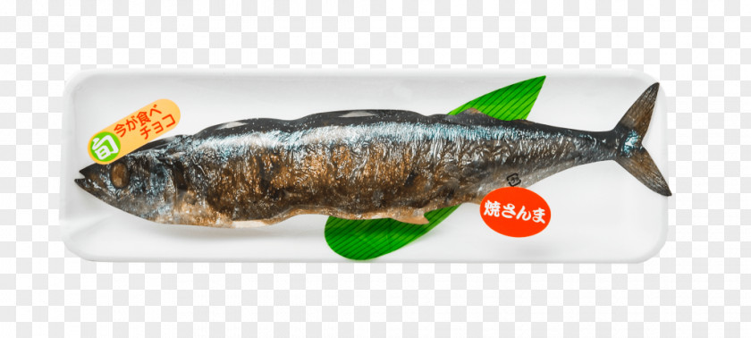 Chocolate Pacific Saury （有）マルケイ 企画・卸 Ice Cream Cones Häagen-Dazs PNG