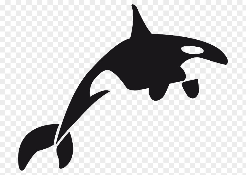 Dolphin Killer Whale Toothed Whales Clip Art PNG