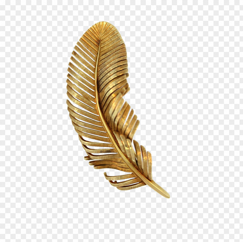 Golden Feather Gold Earring Metal PNG