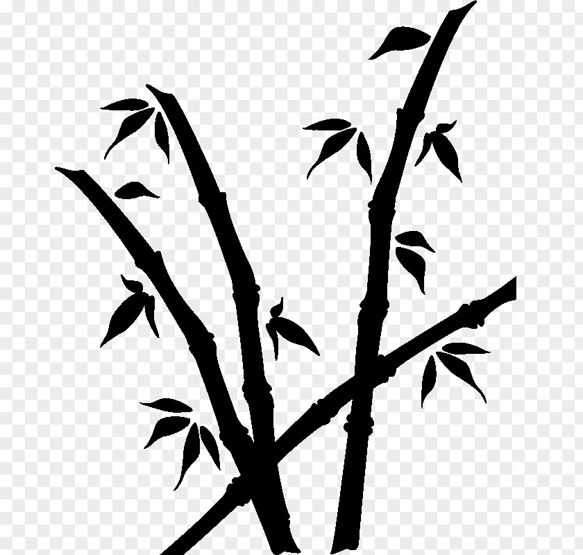 Leaf Twig Bambou Plant Stem Sticker PNG