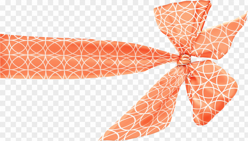 Orange Author Clip Art PNG