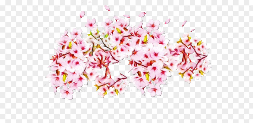Cherry Blossom Branch PNG