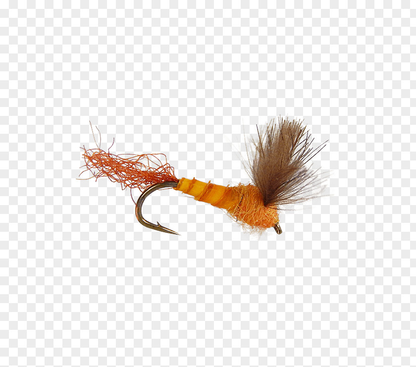 Fly Tying Centers For Disease Control And Prevention CDC Holly Flies 0 Stock Keeping Unit PNG