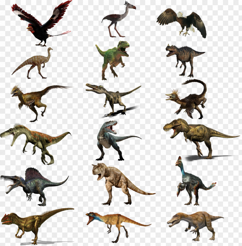 Flying Dinosaurs Pictures Theropods Thyreophora Tyrannosaurus Postosuchus Cerapoda PNG