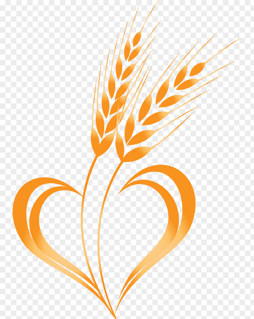 Hand-painted Vector Wheat Cereal Clip Art PNG
