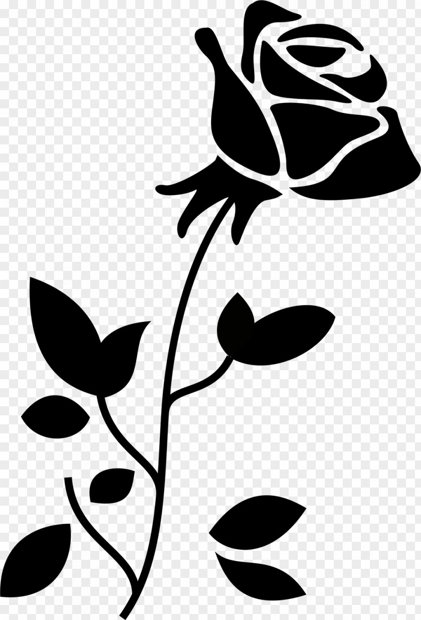 Rose Vector Flower Bouquet Paper Embroidery PNG
