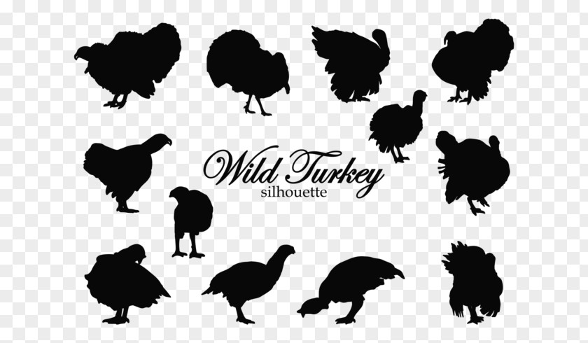 Thanksgiving Vector Black Turkey Silhouette Rooster Clip Art PNG