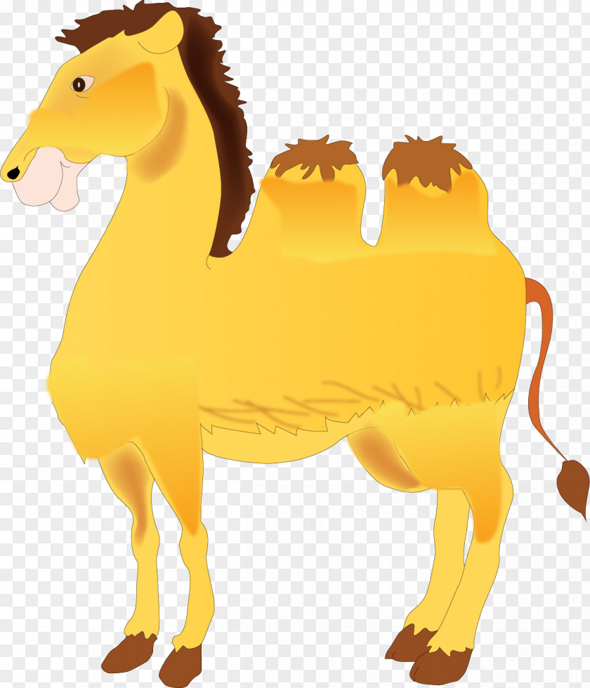 Vector Painted Camel Drawing Clip Art PNG