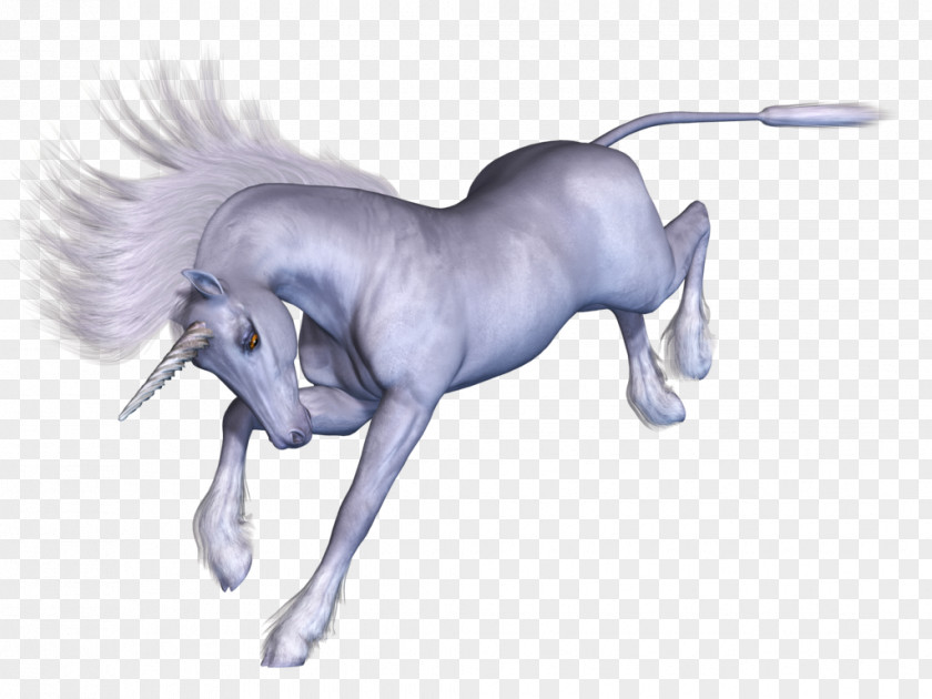 Unicorn Horse DeviantArt Mane PNG