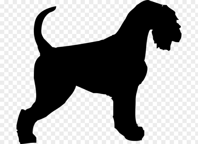 Welsh Terrier Ancient Dog Breeds Silhouette PNG