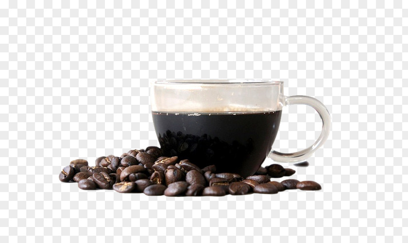 Coffee Cup Beans Vietnamese Iced Caffxe8 Americano Espresso Tea PNG
