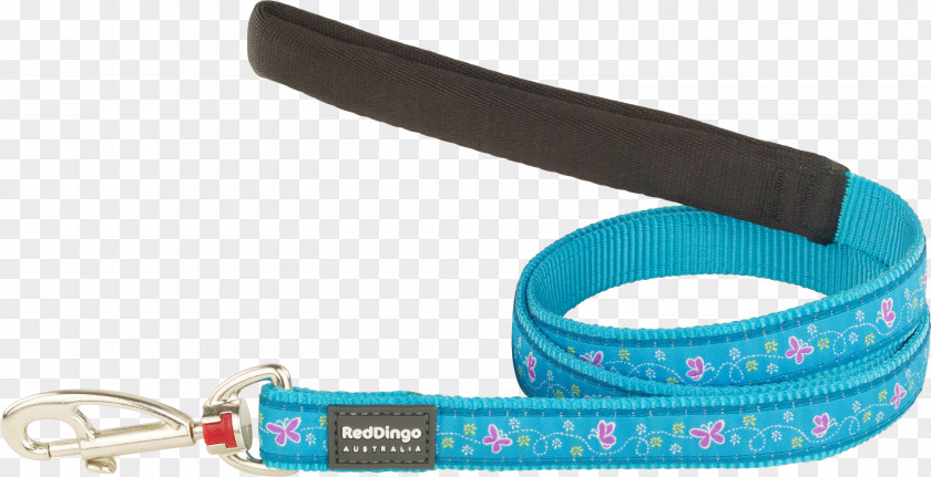 Dog Leash Dingo Puppy Turquoise PNG