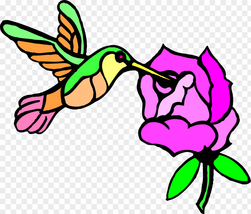 Hummingbird Flower Clip Art PNG