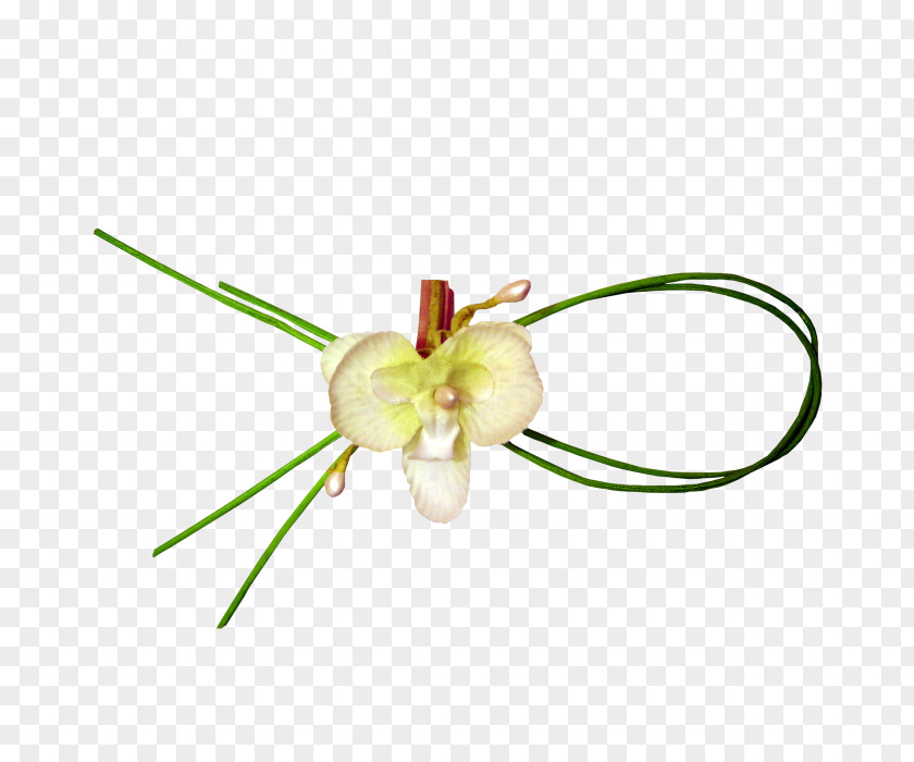 Knotted Plant Petal Knot Green PNG