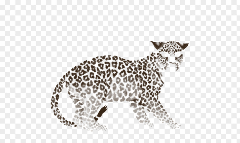 Leopard Whiskers Jaguar Cheetah Ocelot PNG