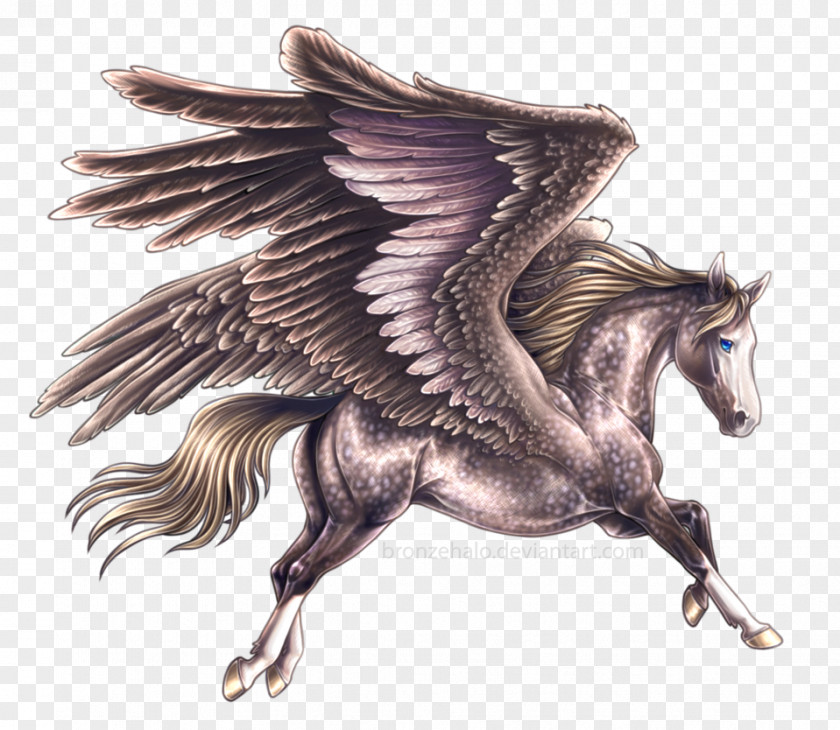 Pegasus Flying Horses Winged Unicorn Tulpar PNG