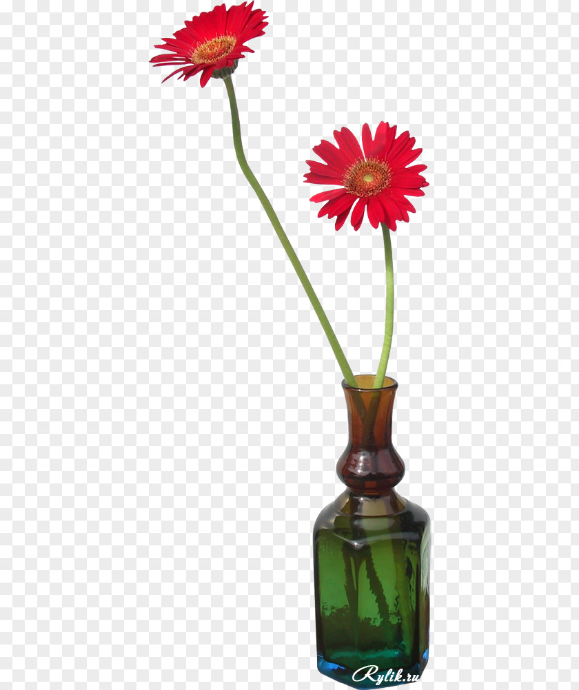 Transvaal Daisy Vase Floristry Flower Bouquet PNG