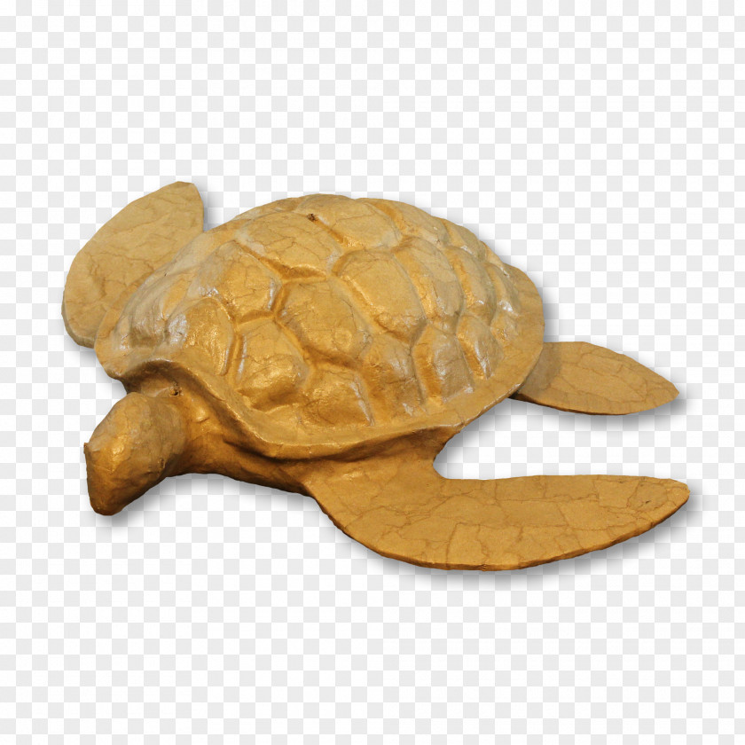 Turtle Urn Funeral Material Cremation PNG