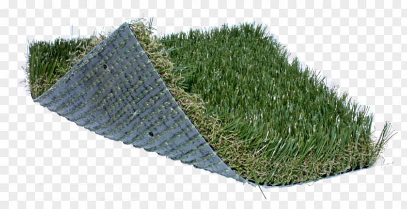 Artificial Turf Lawn Landscaping Sod Fescues PNG