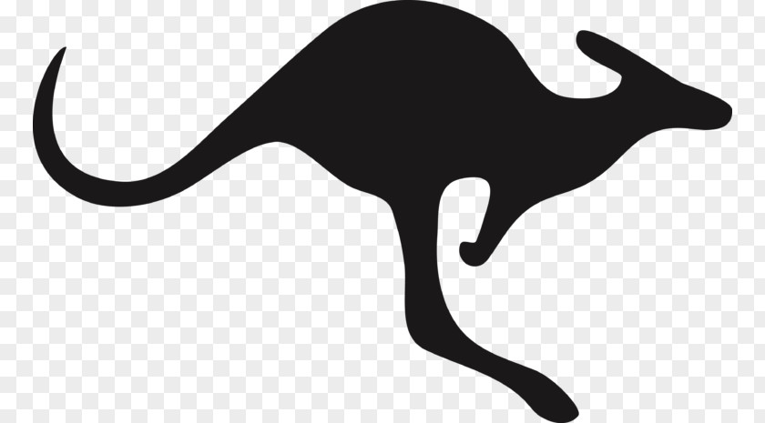 Australia Vector Kangaroo Macropods Clip Art Silhouette PNG