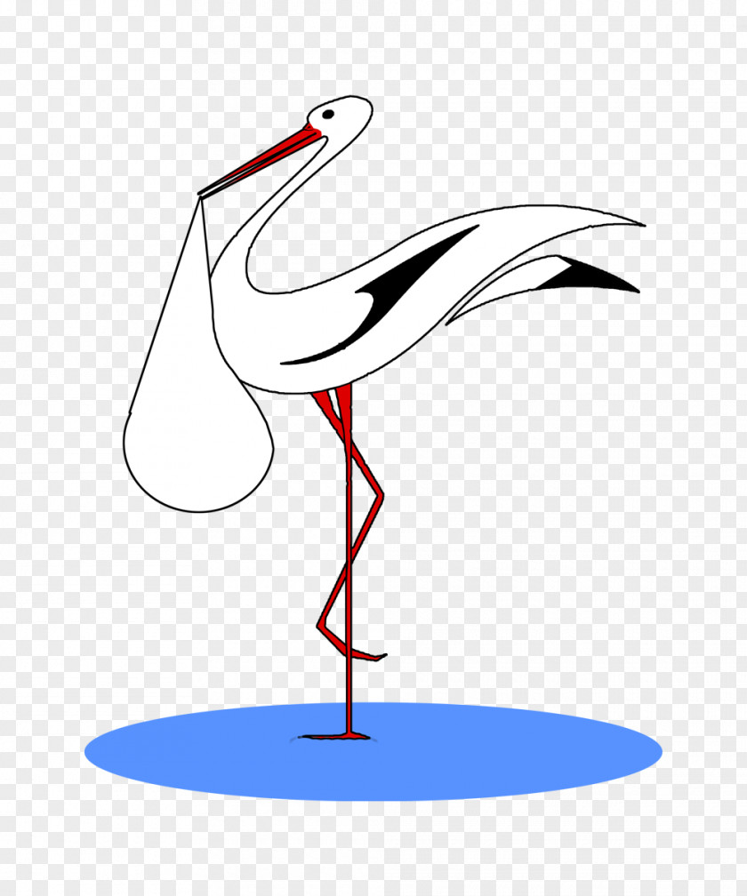 Beak Clip Art Water Bird Line PNG