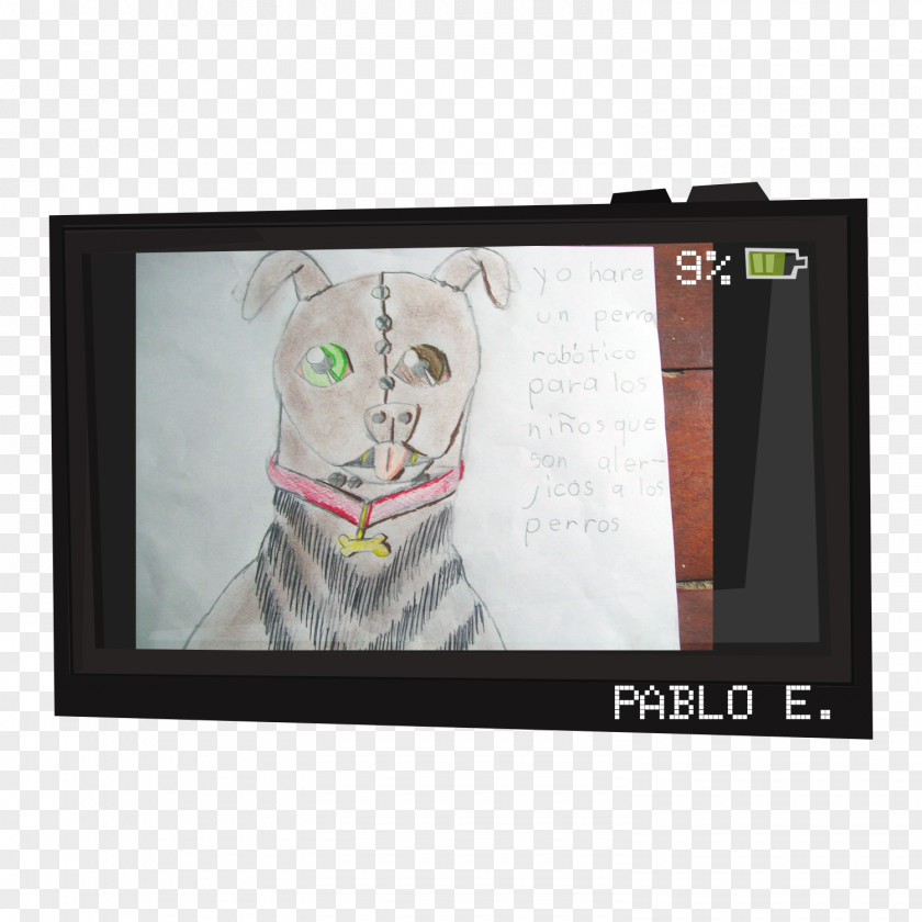 Cat Picture Frames Brand Rectangle Font PNG