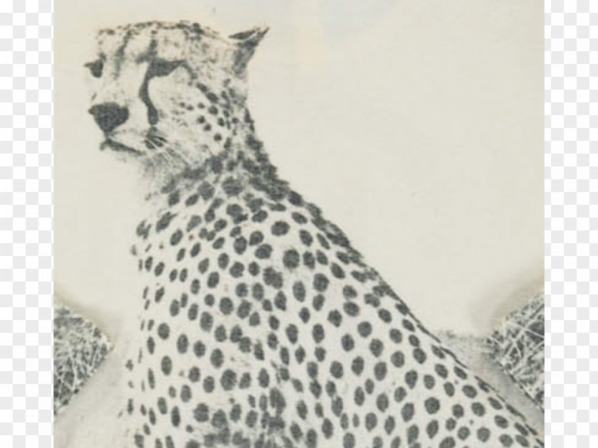 Cheetah Leopard T-shirt Leggings Skirt PNG