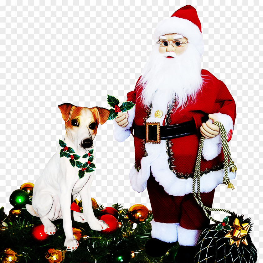 Companion Dog Christmas Tree Santa Claus PNG
