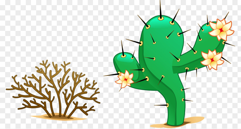 Desert Cactus Clip Art PNG