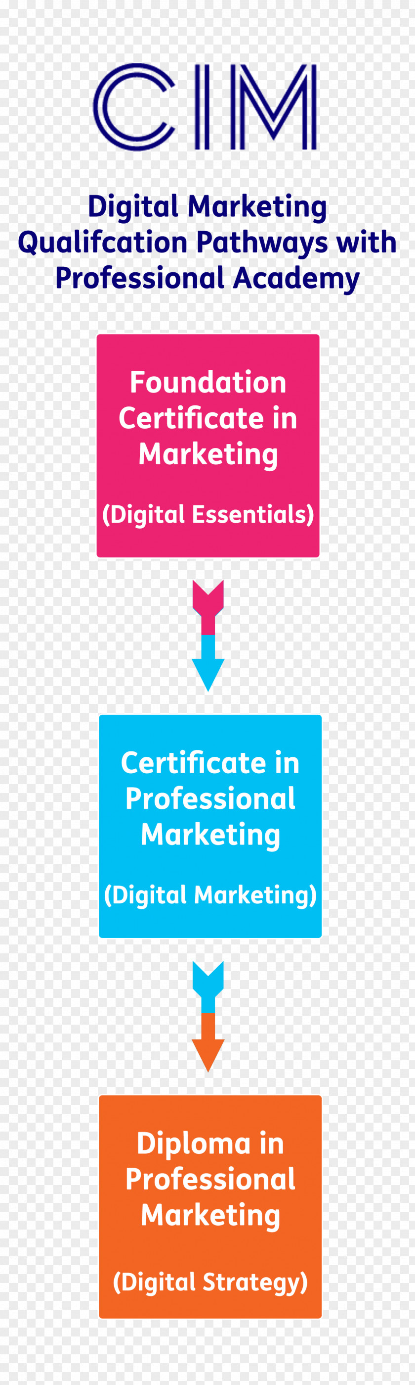 Digital Marketing Training Chartered Institute Of Sales Diploma Professional PNG