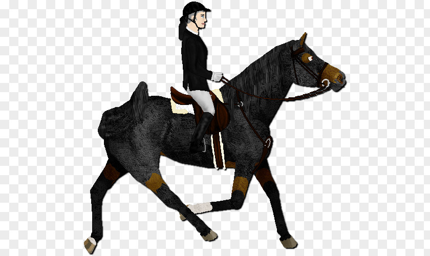 Horse Hunt Seat Stallion Equestrian Rein PNG