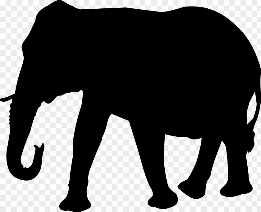Tail Stencil Elephant Background PNG