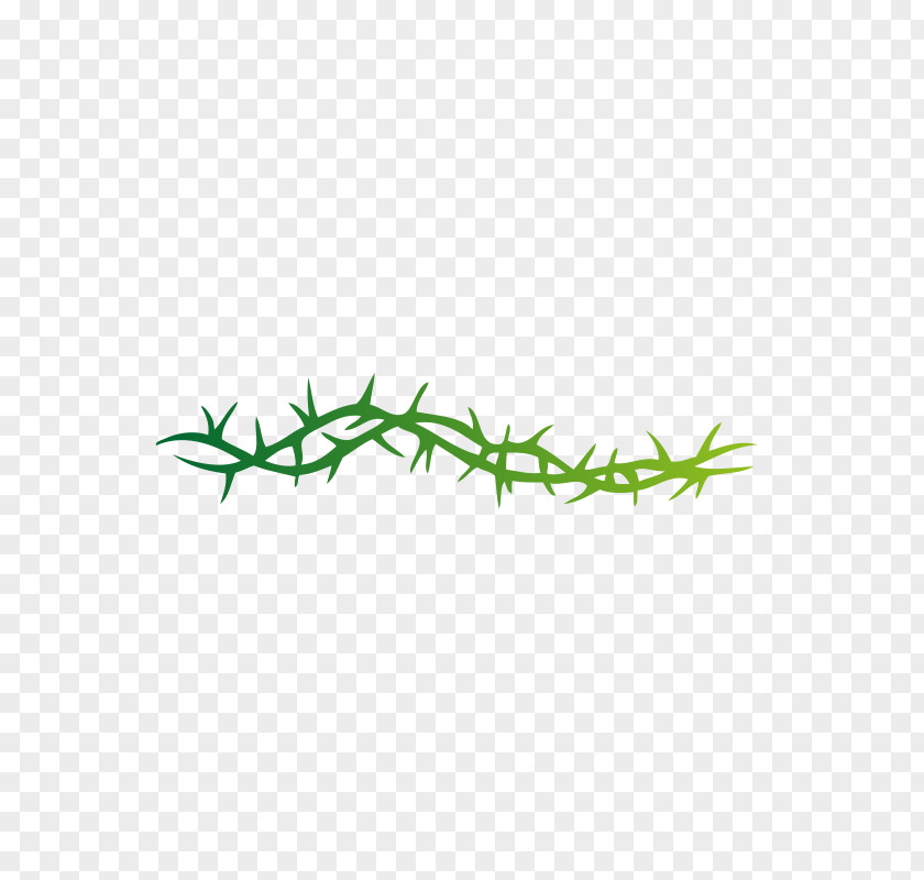 Thorn Cliparts Thorns, Spines, And Prickles Vine Rose Crown Of Thorns Clip Art PNG