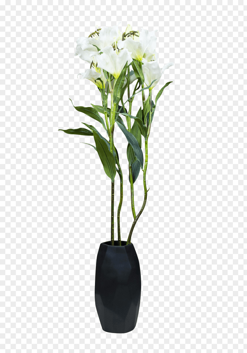 Design Floral Flowerpot Cut Flowers Houseplant Plant Stem PNG