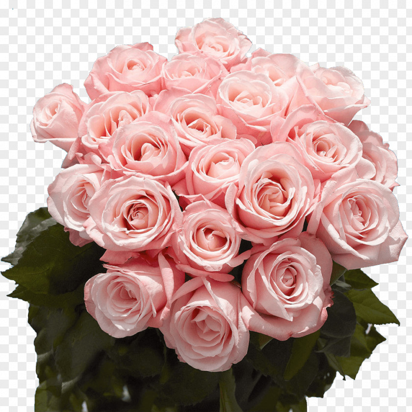 Garden Roses PNG