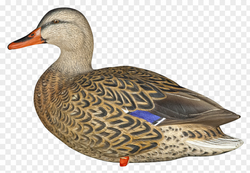 Goose Mallard Duck Decoy Bird PNG